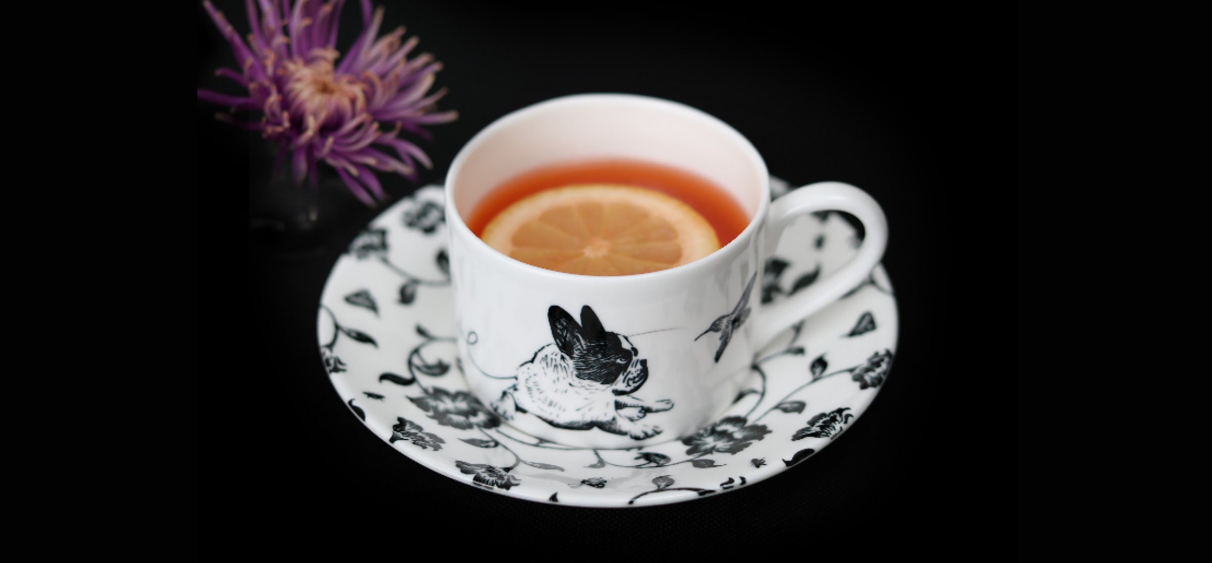 The Tea Hound's website decorative hero image of a cup and saucer